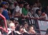 Close up of some of the fans..jpg