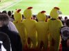 Toon vs Blackpool  Ducks.jpg