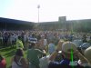 blackberry 023.jpg