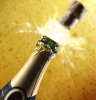champagne_bottle_1.jpg