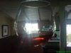 adys pics1 085.jpg