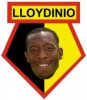 llyoydinio logo.jpg