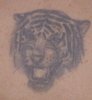 IMG_2012120116721.jpg
