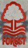 nottingham-forest-club-logo-157-metallic-merlin-ultimate-1996-football-trading-card-30702-p[ekm].jpg