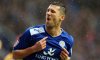 Leicester-v-Watford-David-Nugent_2667854.jpg