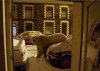 polar bear.jpg