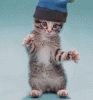 giphy (5).gif
