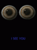 iseeyou_llum9eyh.gif