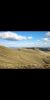Screenshot_2019-05-05-00-18-19-353_com.alensw.PicFolder.png