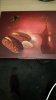 IMG-20190509-WA0001.jpeg