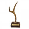 special-award-antler-trophy-7022.jpeg