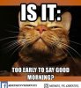 35. Good Morning Meme.jpg