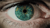 original.gif