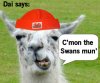 dailama.jpg