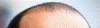 8.GIF