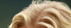 9.GIF