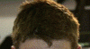 11.GIF