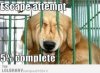 escape-attempt-5-complete-16241.jpg
