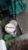 20190720_093831.jpg