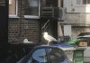 E50CAECE-49F0-41DE-8670-A645D8BBBAEE.jpeg
