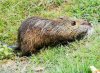 IMG_20190727_142022.jpg