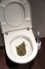 flushing-weed.jpg