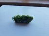 20190913_135112.jpg
