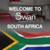 swan_south_africa.jpg