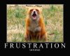 frust.jpg