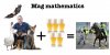 mag maths.jpg