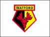 watford_203x152.jpg
