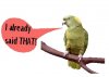 parrot.jpg