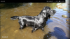 Screenshot_20191120-223506-1440x810.png