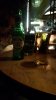 20191207_164927.jpg