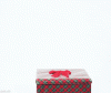 present.gif