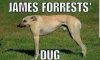 FB_IMG_1577696054554.jpg