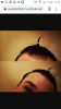 Screenshot_2020-01-07-19-09-12.png