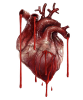 upload_2020-2-1_12-57-35.png