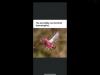 Screenshot_20200205-013336.png