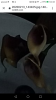 Screenshot_20200213-203849.png