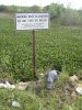 Gator Sign.JPG