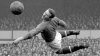 skysports-harry-gregg-manchester-united_4922538.jpg