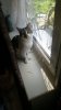 IMG-20200302-WA0003.jpeg