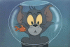 tumblr_m6noc8r01c1r9ougbo1_500.gif