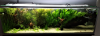 upload_2020-3-31_18-27-51.png