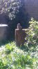 20200405_140419.jpg