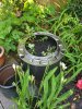 IMG-20200411-WA0002.jpg