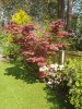 IMG-20200411-WA0003.jpg