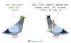 11A31B2B-37D9-4423-A3EC-DECA74237551.png