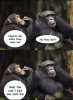 1587304083861.png